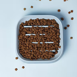 Slow Feeder Bowl