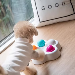 Training Toys – Treat Flower Bowl