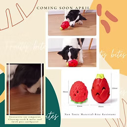 [FP-TY-FRUIT02] Fruity Bites