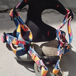 [FP-AP-GEO12] GEOMETRY 1.2